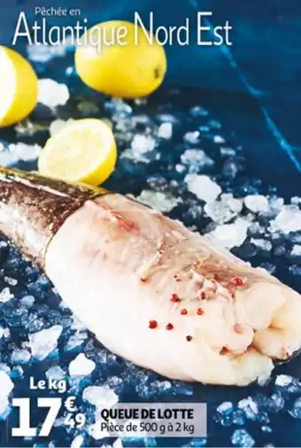 Auchan Queue de lotte offre