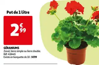 Auchan Géraniums offre
