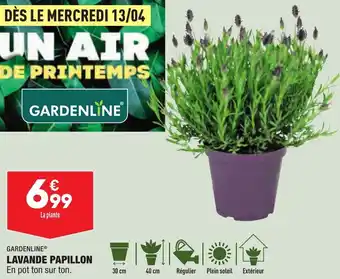 ALDI Lavande papillon offre