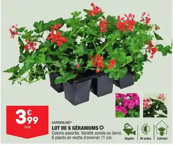 ALDI Lot de 6 géraniums offre