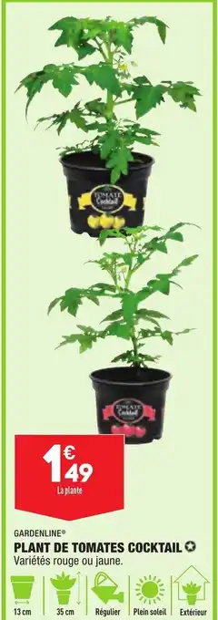 ALDI Plat de tomates cocktail offre