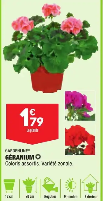 ALDI Géranium offre