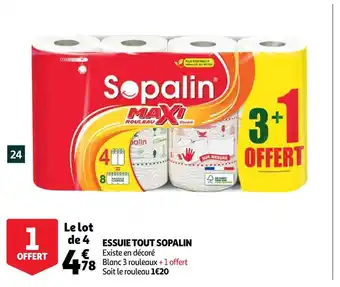 Auchan Sopalin essuie tout offre