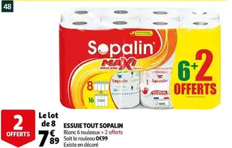 Auchan Sopalin essuie tout offre