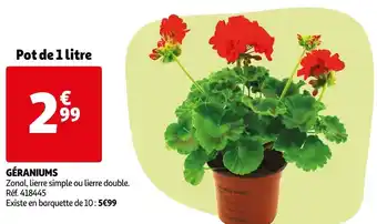 Auchan Géraniums offre