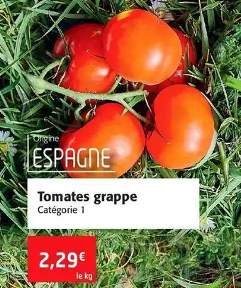 Tomates grappe