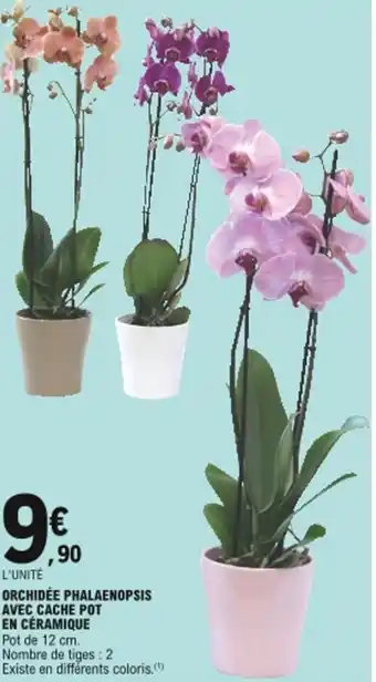 E.Leclerc Orchidée phalaenopsis avec cache pot en céramique offre