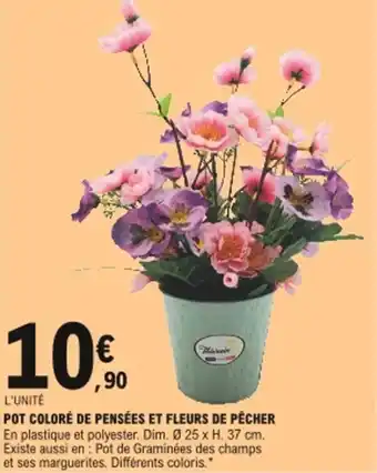 E.Leclerc Pot coloré de pensées et fleurs de pécher offre