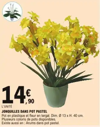 E.Leclerc Jonquilles dans pot pastel offre