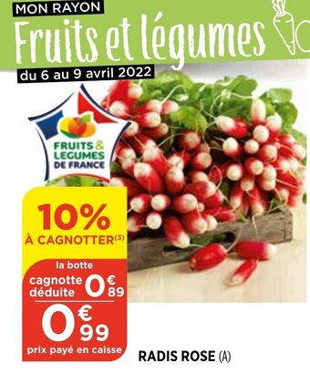 Maximarché Radis rose offre