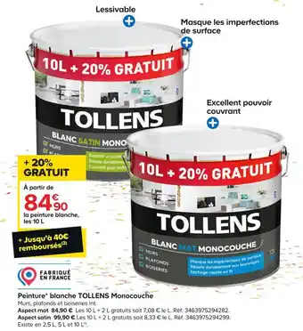 Castorama Tollens peinture blanche tollens monocouche offre