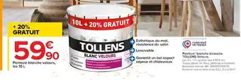 Castorama Tollens peinture blanche bicouche velours offre