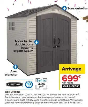 Castorama Lifetime abri offre