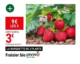 Gamm vert Fraisier bio offre