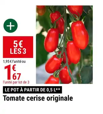 Gamm vert Tomate cerise originale offre