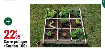 Carré potager cardon 100