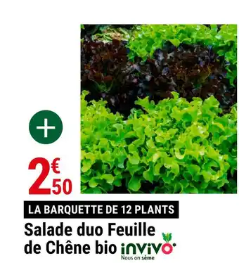 Gamm vert Salade duo feuille de chêne bio offre