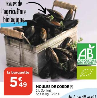 Bi1 Moules de corde offre