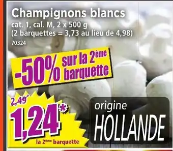 Norma Champignons blacs offre