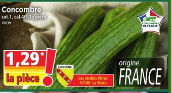 Norma Concombre offre