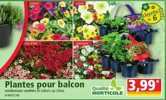 Norma Plantes Pour Balcon offre
