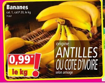 Norma Bananes offre