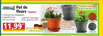 Norma Pot de Fleurs offre