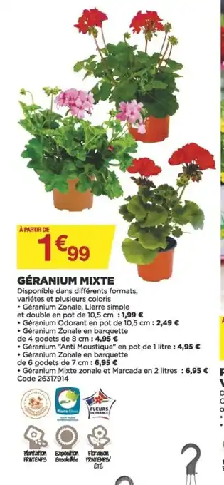 Bricomarché Géranium Mixte offre