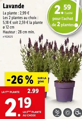 Lidl Lavande offre