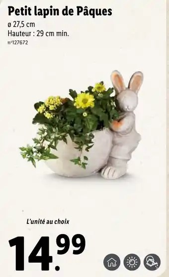 Lidl Petit lapin de pâques offre