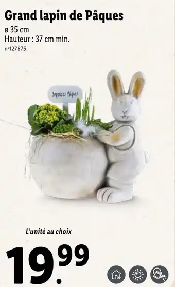 Lidl Grand lapin de pâques offre