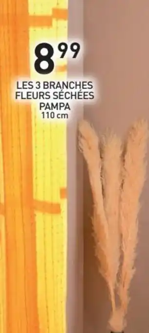 Stokomani Les 3 branches fleurs séchées pampa offre