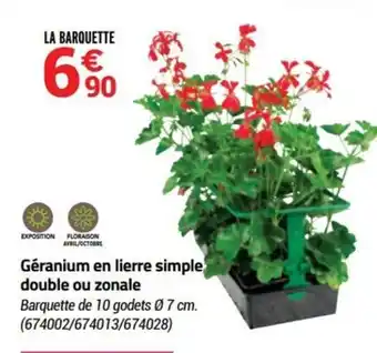 Bricorama Géranium en lierre simple double ou zonale offre