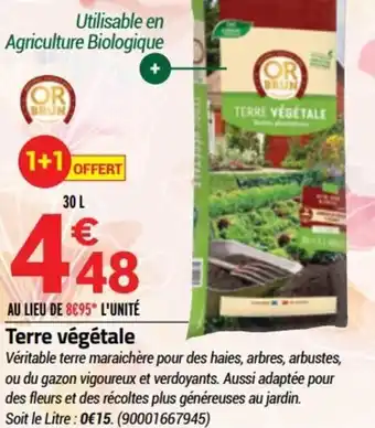 Bricorama Terre végétale offre