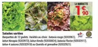 Salades variées