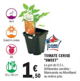 Tomate cerise "sweet"