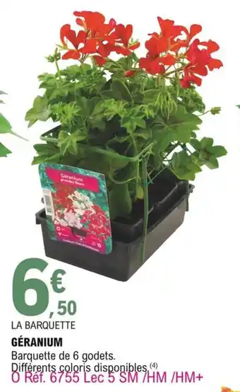 E.Leclerc Géranium offre