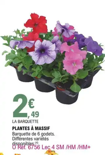 E.Leclerc Plantes a massif offre