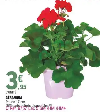 E.Leclerc Géranium offre