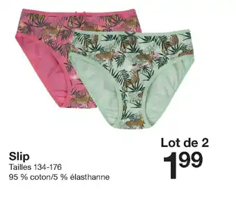 Zeeman Slip offre