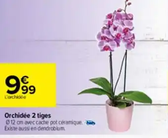 Carrefour Orchidée 2 tiges offre