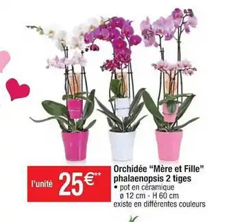 Cora x Carrefour Orchidée offre