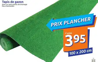 Action Tapis de gazon offre