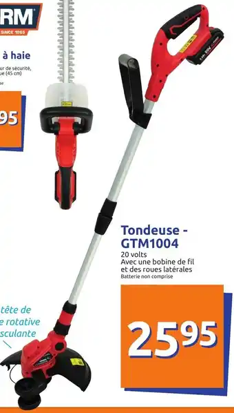Action Tondeuse GTM1004 offre