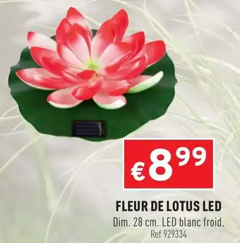 Trafic Fleud De Lotus Led offre