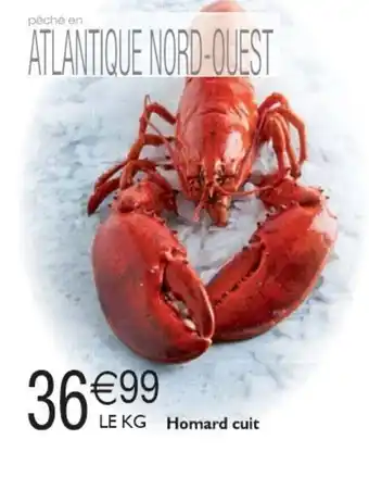 Homard Cuit