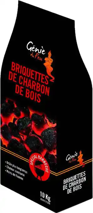 Match Génie du feu briquettes de charbon de bois pour barbecue offre