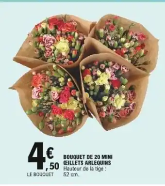 E.Leclerc Bouquet de 20 mini œillets arlequins offre