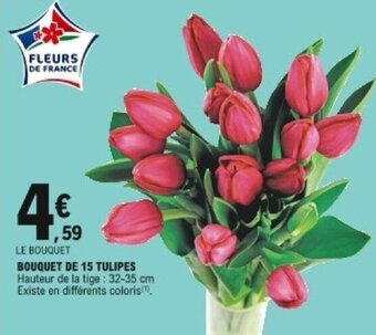 E.Leclerc Bouquet de 15 tulipes offre