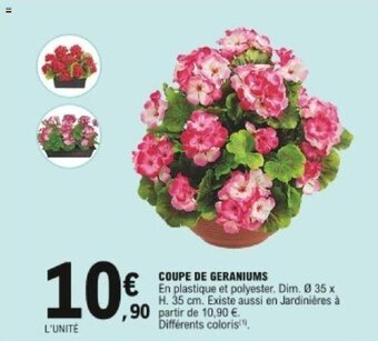 E.Leclerc Coupe de geraniums offre